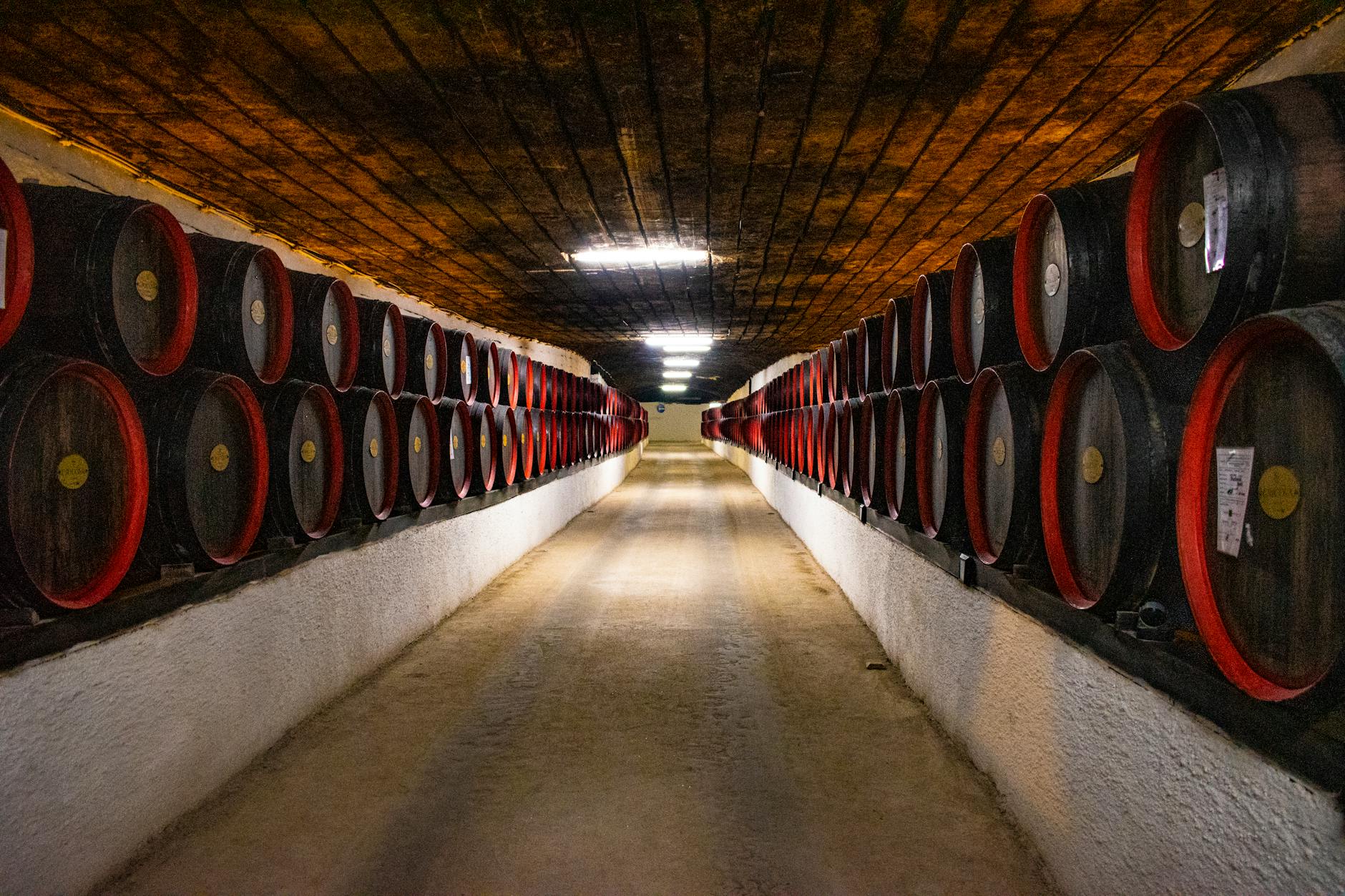 Long corridor of wooden barrels in a winery cellar, perfect for wine production and aging.